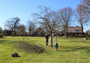 Landschapsonderhoud